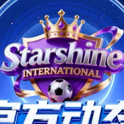 星耀国际